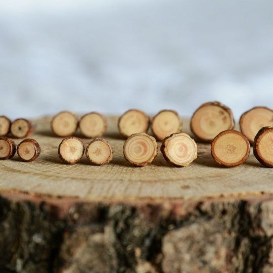 Naturalne kolczyki z drewna z polskich lasów Naturalne kolczyki z drewna z polskich lasów