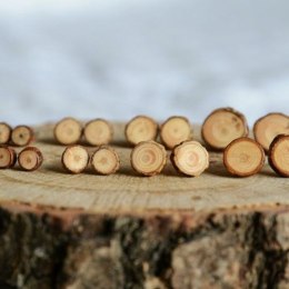Naturalne kolczyki z drewna z polskich lasów