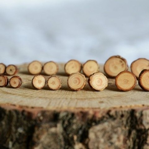 Naturalne kolczyki z drewna z polskich lasów Naturalne kolczyki z drewna z polskich lasów