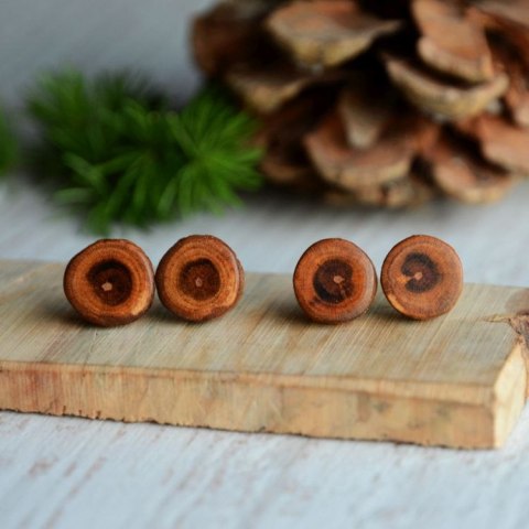 Kolczyki wkrętki z drewna z ogrodu Kolczyki wkrętki z drewna z ogrodu
