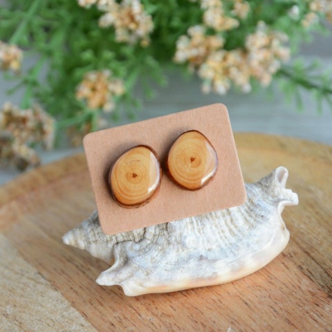 Kolczyki sęki Kolczyki sęki