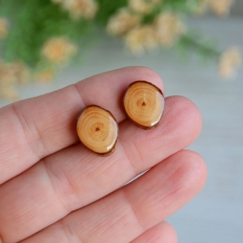 Sosnowe kolczyki wkrętki Sosnowe kolczyki wkrętki