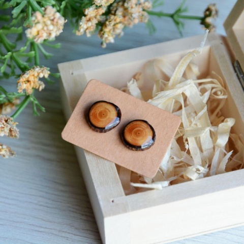 Drewniane kolczyki sztyfty posiadające słoje