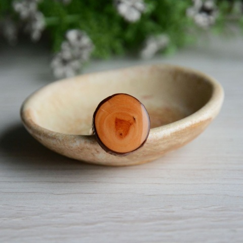 Pierścionek z drewna sosny i srebra