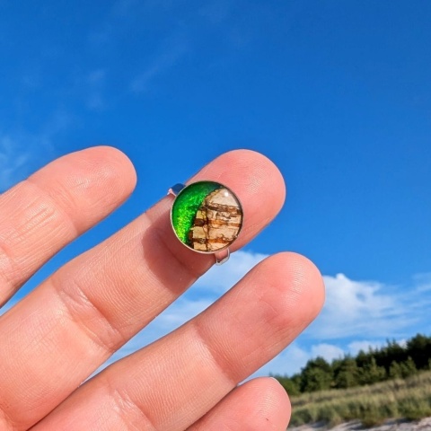 Prezent dla wielbicielki brzozy