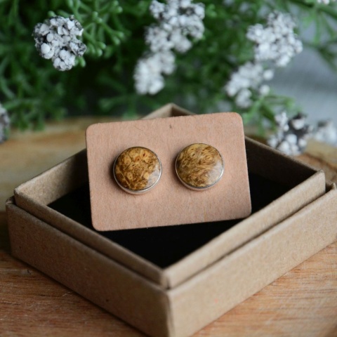 Kolczyki z drewna w srebrze