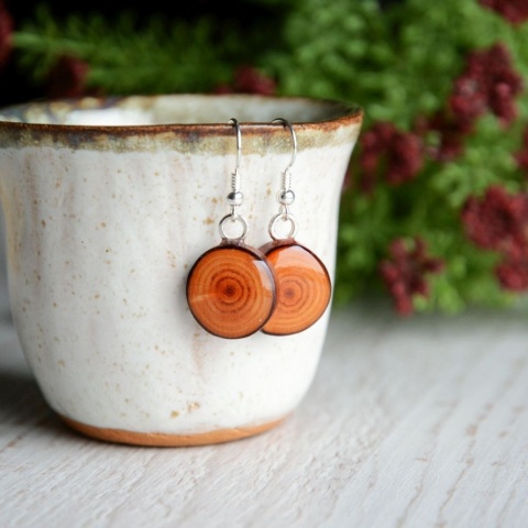 Kolczyki wiszące z drewna i srebra