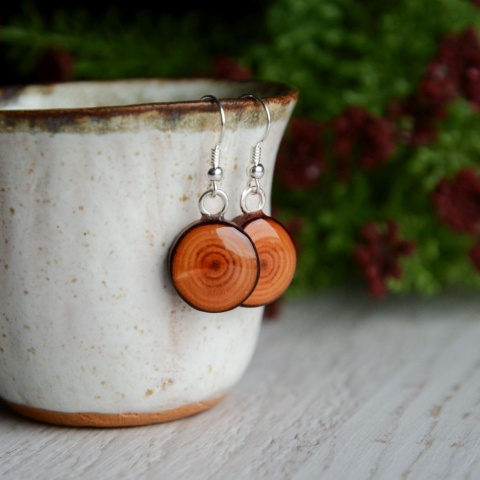 Kolczyki wiszące z drewna modrzewiowego i srebra
