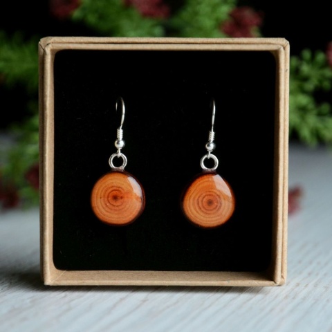 Kolczyki drewniane na srebrze