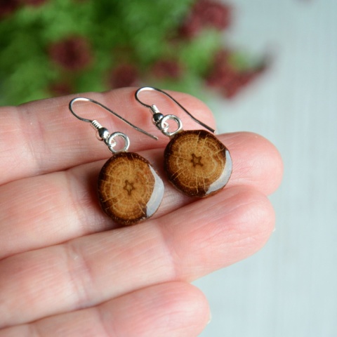 Dębowe kolczyki na srebrze