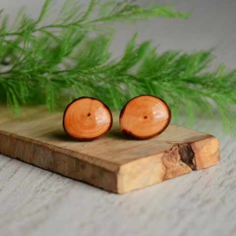 Nieregularne kolczyki z naturalnego drewna